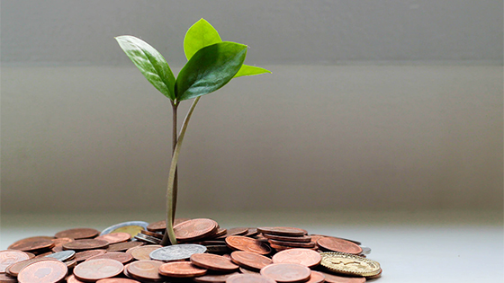 What to Know About a Not-for-Profit Endowment