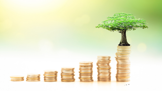 An image of stacks of gold coins gradually increasing in height with a tree on the tallest right column; for blog post about not-for-profit endowment management
